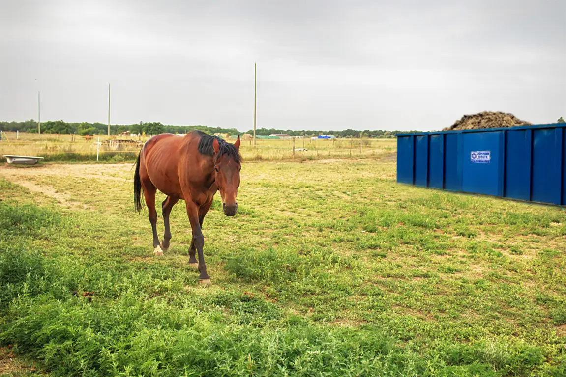 Dumpster Rental in Lititz, Pennsylvania (6216)